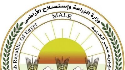 الزراعة تعلن طفرة في صادرات الخيول العربية وتجديد اعتماد خلو مصر من طاعون الخيل الإفريقي