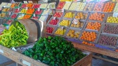 بورصة الأسواق: أسعار الفاكهة الصيفية والخضروات الأساسية هذا الثلاثاء