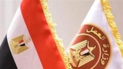 وزارة العمل تعلن عن مئات الوظائف الشاغرة بقطاع الأمن برواتب تصل لـ10 آلاف جنيه