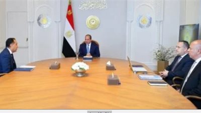 من جامعة الإسكندرية إلى إريتريا: استعراض المشروعات الصحية والتوسعات الخارجية لوزارة التعليم العالي