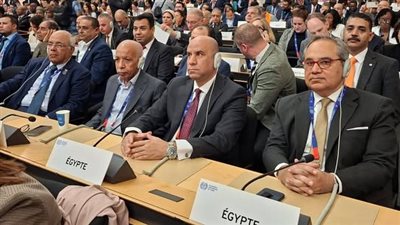 باسم 22 دولة عربية.. وزير العمل يدعو لاعتماد مشاركة فلسطين بالتوافق في مؤتمر العمل الدولي بجنيف