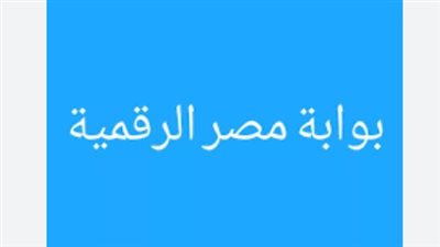 تقرير: كيف تساهم منصة مصر الرقمية في تبسيط الإجراءات وتقليل زمن المعاملات؟