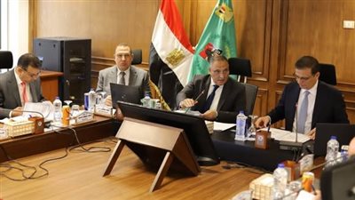 مناطق لوجستية ومارينا دولية لليخوت ومراكز بلازما ضمن قرارات جديدة للدولة