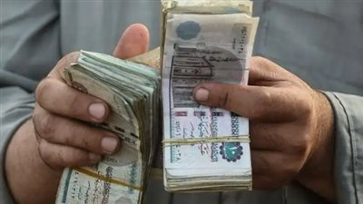 تفاصيل زيادة المعاشات الجديدة وموعد تطبيقها في يوليو 2026