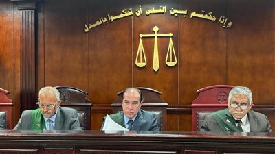 المحكمة برئاسة المستشار أحمد عزيز الفقي