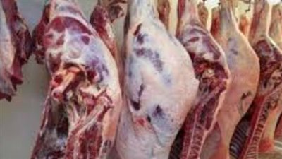 تحديثات بورصة اللحوم اليوم: أسعار اللحم الجملي والكندوز والمفروم البلدي