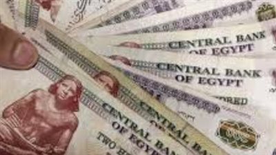 قانون التأمينات الاجتماعية الجديد: نسب الزيادة السنوية وتطبيقها في يوليو