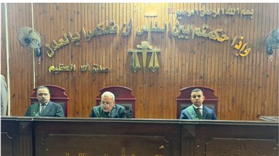 عاجل.. المشدد 7 سنوات لرجل أعمال محمد عيد لشروعه في قتل بطل العالم «ديزل» بالشيخ زايد