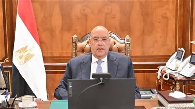 المستشار هشام بدوي: الأمن القومي العربي وحدة لا تتجزأ وضرورة لتكامل المواقف في مواجهة التحديات الإقليمية