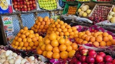 دليل أسعار الفاكهة للمستهلكين: تحديثات بوابة مجلس الوزراء لهذا اليوم