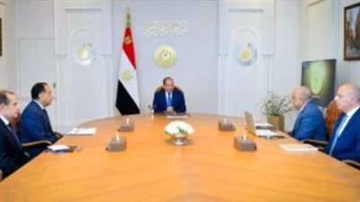 تطوير قطاع الكهرباء في مصر: الرئيس السيسي يؤكد على أهمية استقرار الشبكة وتوطين الصناعات الطاقية