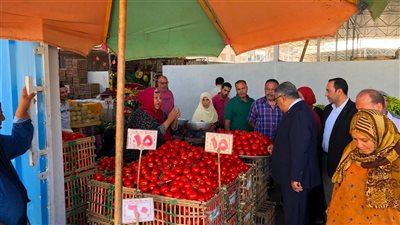 محافظ الدقهلية يتفقد سوق طلخا الحضاري ويشدد على الانضباط الكامل