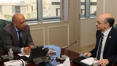 وزير الكهرباء يبحث تعظيم الاستفادة من العناصر الأرضية النادرة