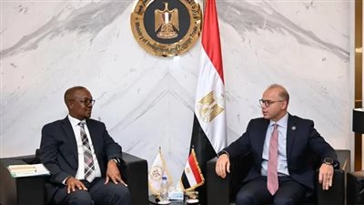 عمق الشراكة الاقتصادية بين مصر وجنوب أفريقيا لتعزيز التكامل الاستثماري والتجاري داخل القارة
