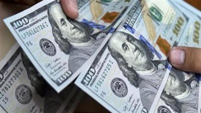 استقرار الصرف كركيزة لجذب الاستثمارات وضبط الأسواق: نظرة على أداء الجنيه