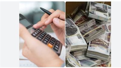 تفاصيل الشهادات الجديدة: خيارات استثمارية متنوعة