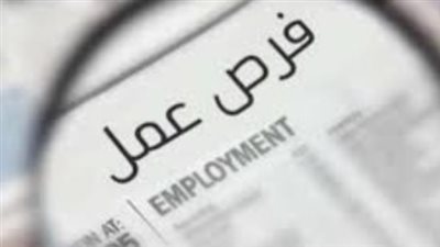 وزارة العمل تطلق نشرة التوظيف لشهر يونيو: 350 وظيفة شاغرة بقطاع النقل البري