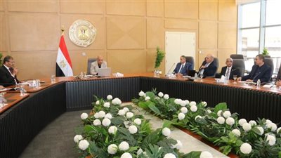 وزير الكهرباء يبحث مع خبراء الجامعات دعم الشبكة بالطاقة المتجددة