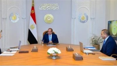 السيسي يشدد على معايير الجودة في بناء قاطرات 