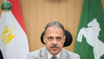 حزن في فاقوس.. محافظ الشرقية ينعى الطالبة جنى هاني التي توفيت داخل لجنة الامتحان