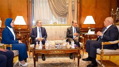 استمرار التواصل المؤسسي: وزير الخارجية يشدد على دور اللجان النوعية في صياغة السياسة الخارجية