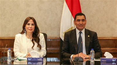 الشباب والإسكان يبحثان تطوير المنشآت الرياضية بالمدن الجديدة