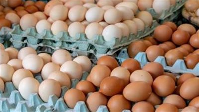 بشرى سارة للمواطنين: انخفاض أسعار كرتونة البيض والدواجن في التعاملات الصباحية