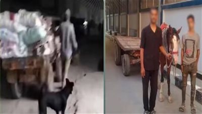 الأمن يكشف ملابسات فيديو إلقاء مخلفات بالمرج