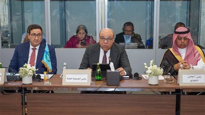 مصر ترأس الجمعية العامة للمنظمة العربية للطيران المدني لعامين.. وتفوز بعضوية المجلس التنفيذي.