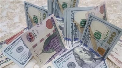 سعر الدولار