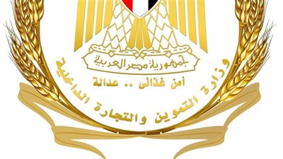 وزارة التموين تكشف عن معايير تنقية البطاقات التموينية لضمان وصول الدعم لمستحقيه