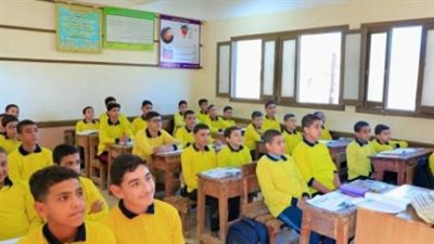 قرارات هامة بشأن تحويل طلاب المدارس الدولية والرسمية للغات في مصر