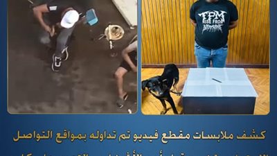 ضبط بائع خردة تعدى على كلب بسلاح أبيض بالإسكندرية