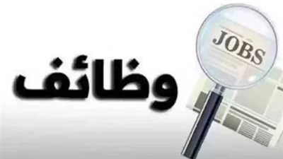 وزير العمل يعلن عن توفير فرص عمل لائقة للشباب بالتعاون مع شركات القطاع الخاص