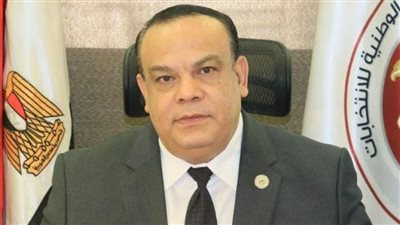 المستشار حازم بدوي: تجاوزنا كافة التحديات اللوجستية لضمان مشاركة المصريين بالخارج