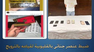 ضبط عاطل روّج لبيع المخدرات عبر مواقع التواصل بالقليوبية