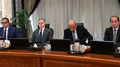 الحكومة تستعرض خطة التوسع في الطاقة المتجددة حتى 2029