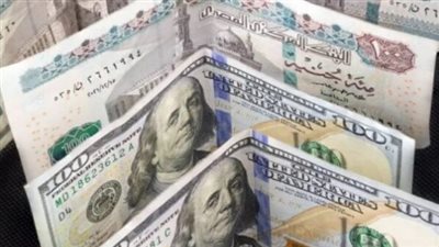 حالة من الثبات تسيطر على سعر الدولار في البنوك المصرية اليوم الخميس