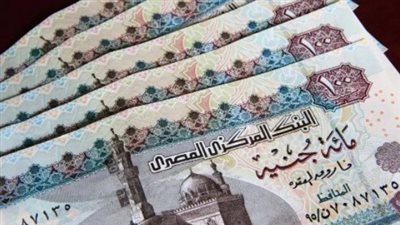 كيفية التعامل مع شكاوى معاش تكافل وكرامة ميدانياً