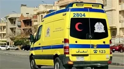 رحلة انتهت بالدماء.. مصرع شخصين وإصابة ثالث في حادث مروع بطريق الواحات