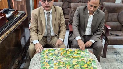 تموين الدقهلية يضبط معمل ألبان مخالف ويتحفظ على 17 طن ملح