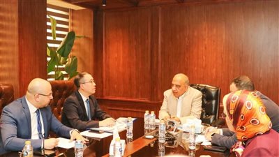وزير الكهرباء يبحث مع CSGI تطوير الشبكة القومية ودمج الطاقة المتجددة