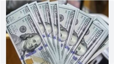 استقرار سعر الدولار اليوم الأحد 12 يوليو 2026 في البنوك المصرية