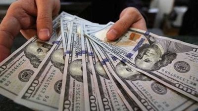 مؤشرات الاستقرار في سوق الصرف: تحديثات سعر الدولار في البنوك المصرية
