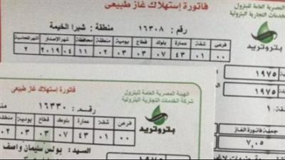 حلول ذكية لسداد فواتير الغاز الطبيعي في مصر دون الحاجة للزيارة الشخصية