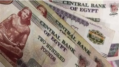 كل ما تريد معرفته عن معاشات تكافل وكرامة: شروط الاستحقاق ومستندات التقديم