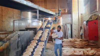 محافظ الدقهلية يتابع انتظام العمل بمخبز المحافظة الكبير