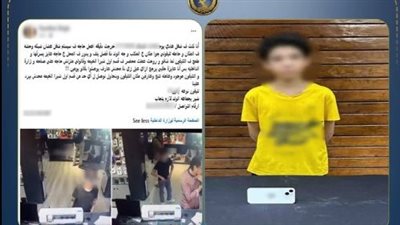 بعد تداول فيديو الواقعة.. ضبط طالب سرق هاتف عاملة من داخل محل بالقليوبية