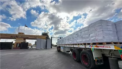 234 طنًا من المساعدات.. الهلال الأحمر المصري يطلق قافلة جديدة إلى قطاع غزة