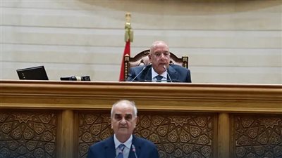 مجلس النواب يوافق على مشروع إعادة تنظيم جهاز مستقبل مصر للتنمية المستدامة